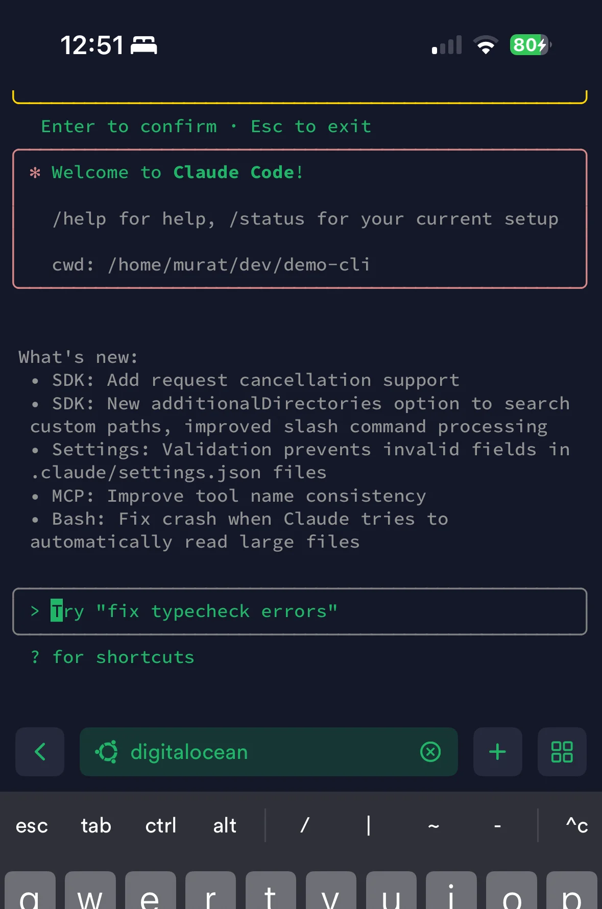 Coding from your phone